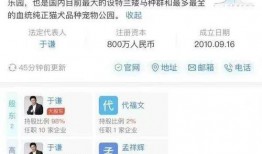 百家时代爆料最新消息,最新爆料引发行业热议